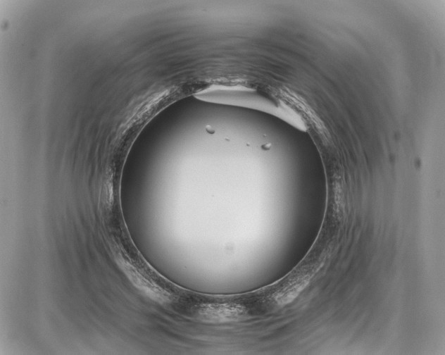 X0000086770541200704131144