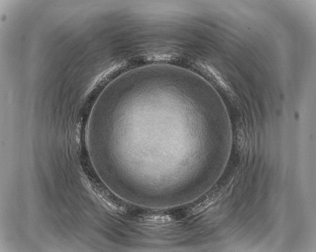X0000086770543200704131144
