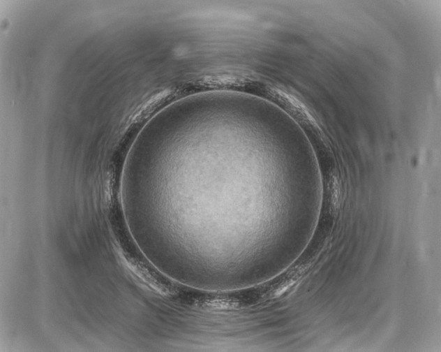 X0000086770546200704131144