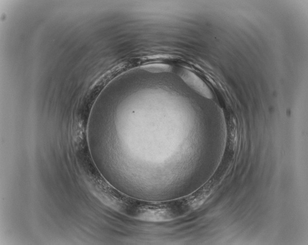 X0000086770555200704131144