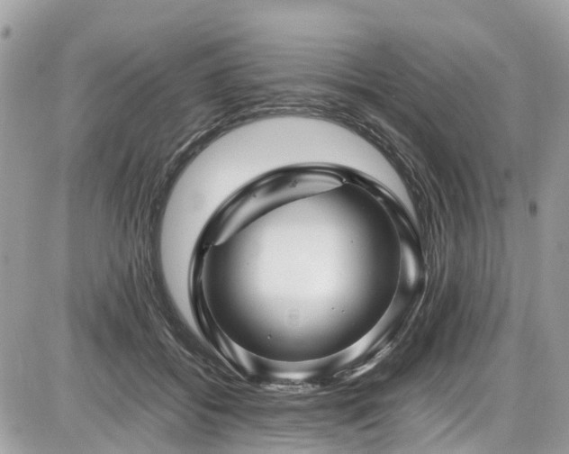 X0000086770556200704131144