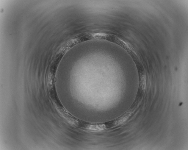 X0000086770571200704131145