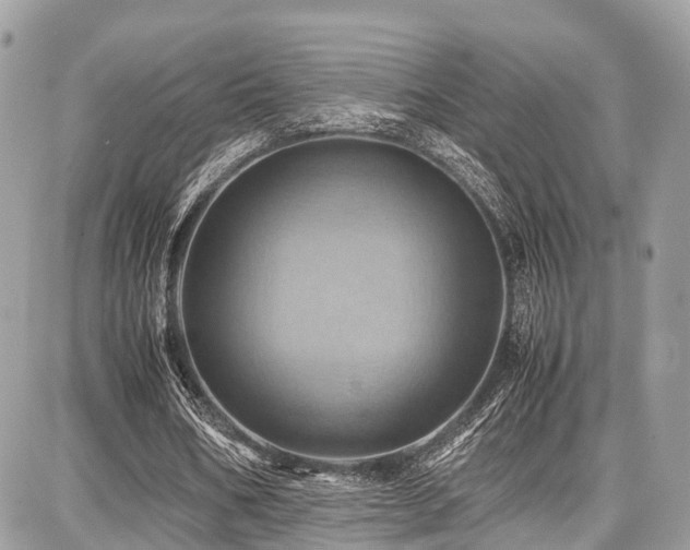 X0000086770578200704131144