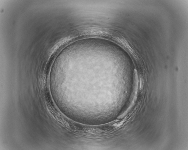 X0000086770579200704131144