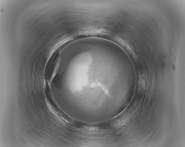 X0000086770582200704131144
