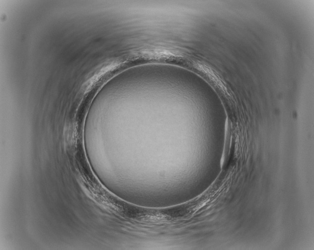 X0000086770583200704131144