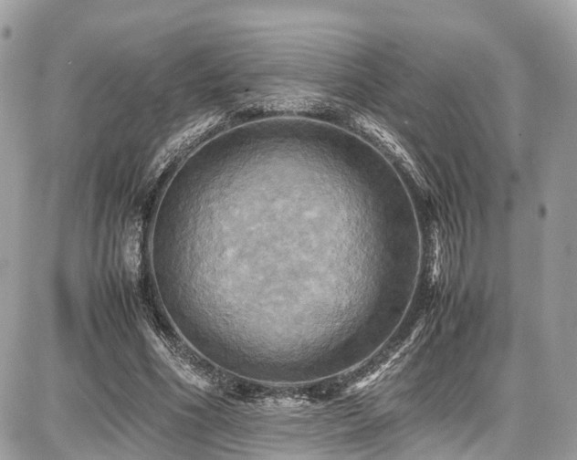 X0000086770586200704131144