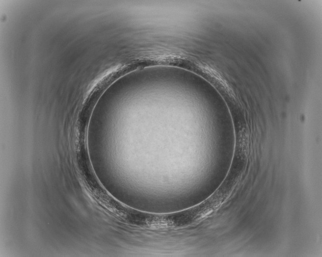 X0000086770587200704131144