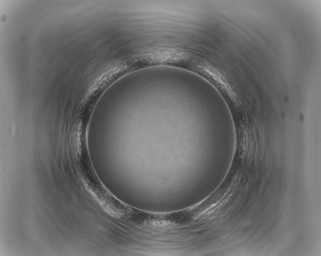 X0000086770590200704131144