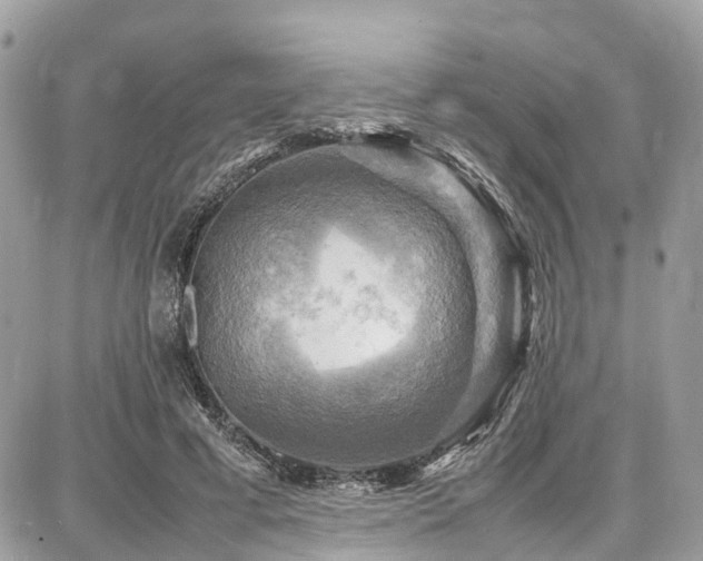 X0000086770593200704131144