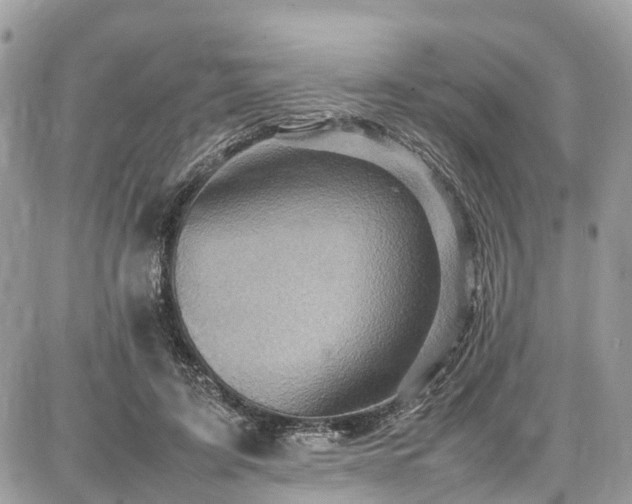 X0000086770595200704131144