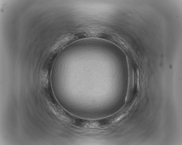 X0000086770599200704131143