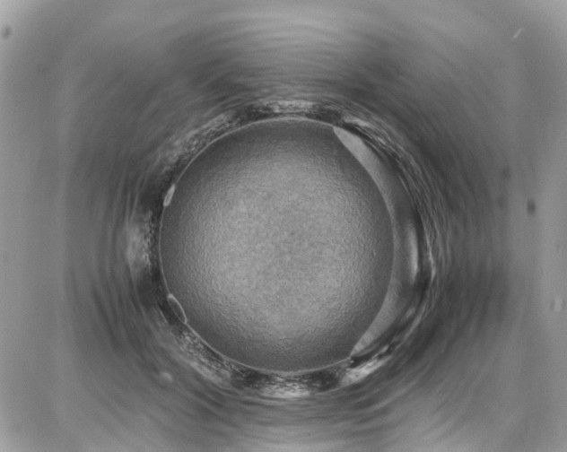 X0000086770604200704131143