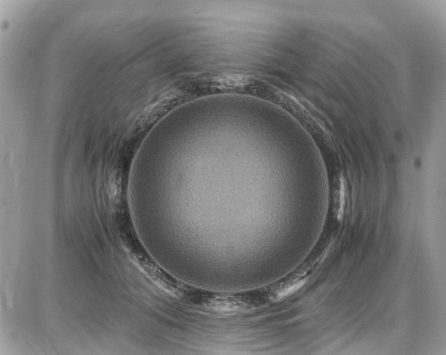 X0000086770608200704131143