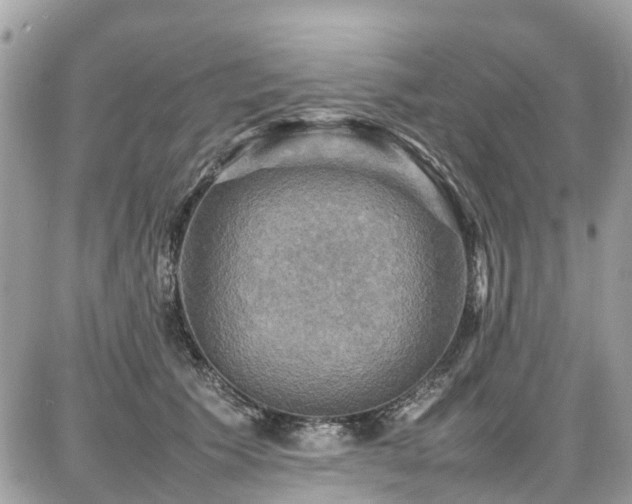 X0000086770609200704131143