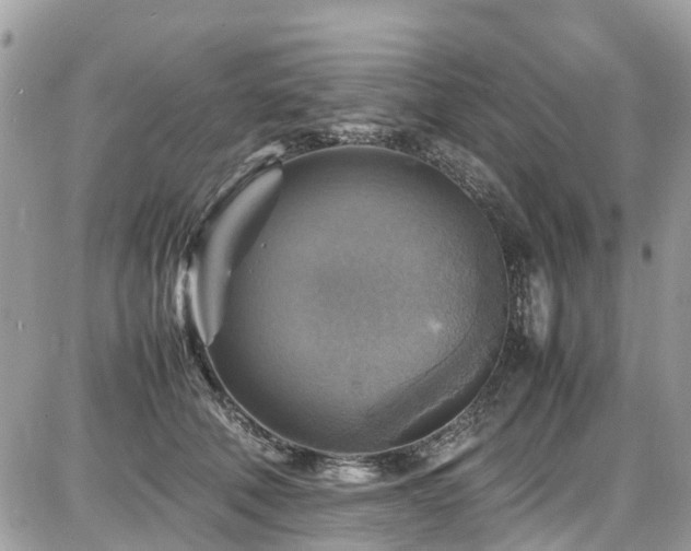 X0000086770610200704131143