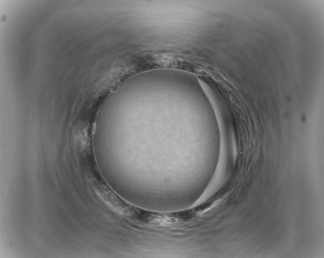 X0000086770611200704131143
