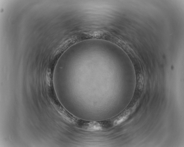 X0000086770612200704131143
