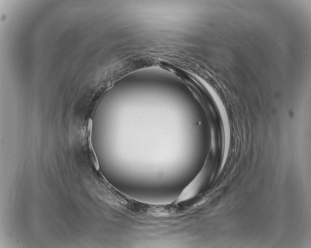 X0000086770613200704131143