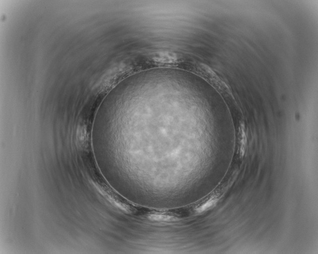 X0000086770614200704131143