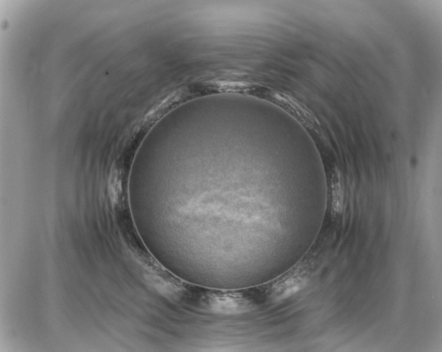 X0000086770618200704131143