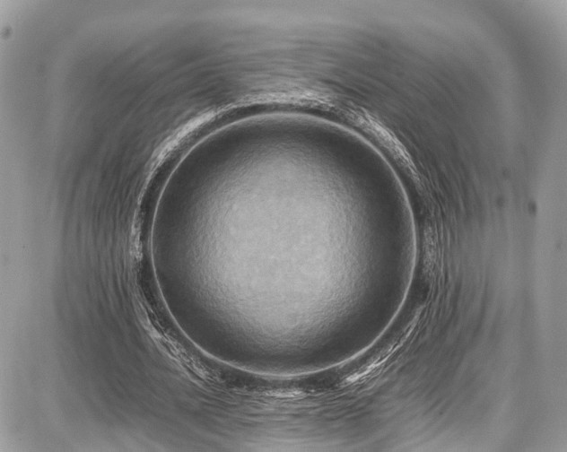 X0000086770628200704131142