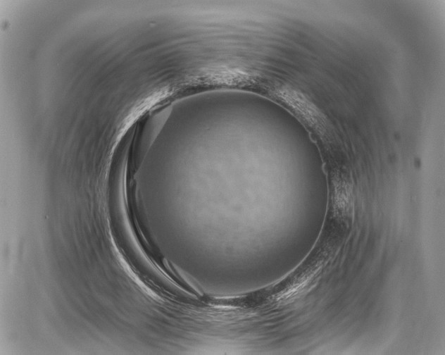 X0000086770630200704131142