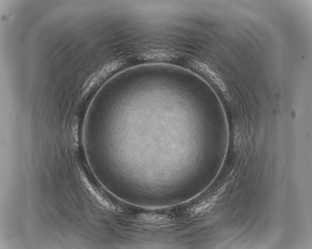 X0000086770633200704131142