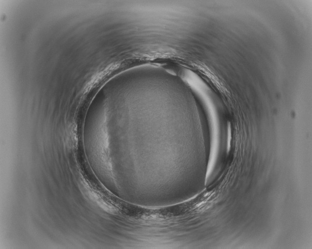 X0000086770634200704131142