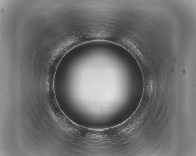 X0000086770635200704131142