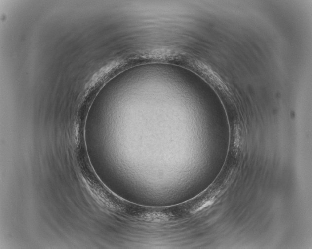 X0000086770636200704131142