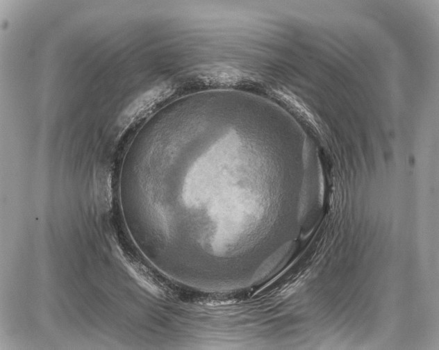 X0000086770638200704131142