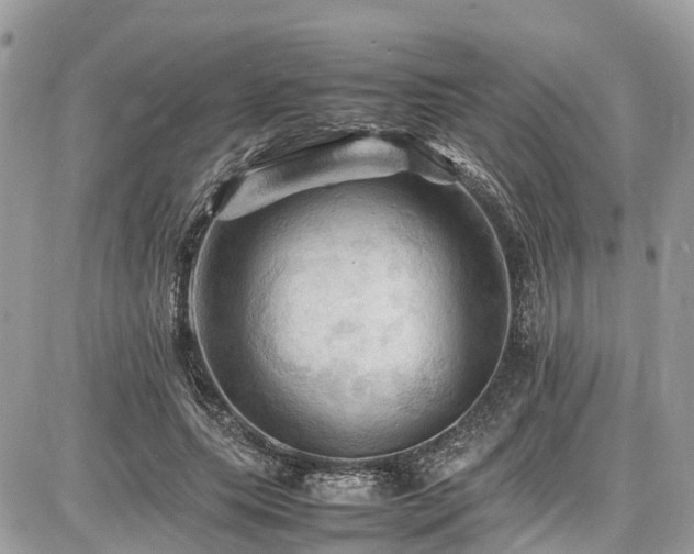 X0000086770639200704131142