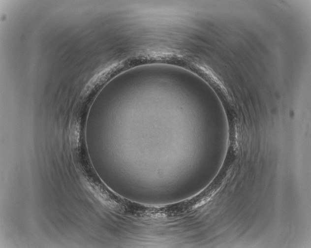 X0000086770640200704131142