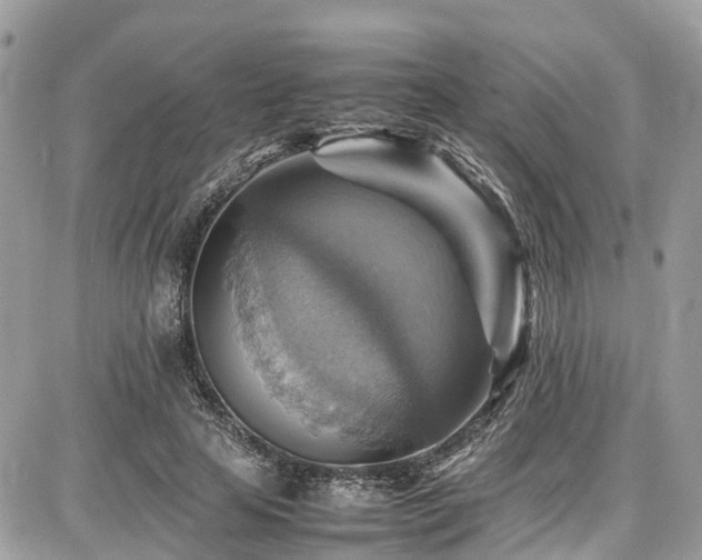 X0000086770641200704131143