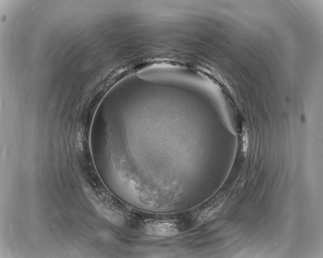 X0000086770643200704131143