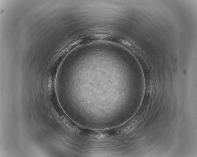 X0000086770646200704131143