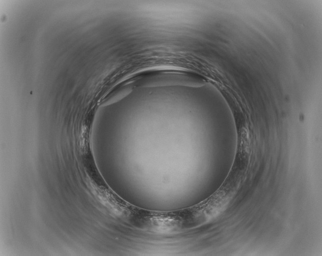 X0000086770650200704131143