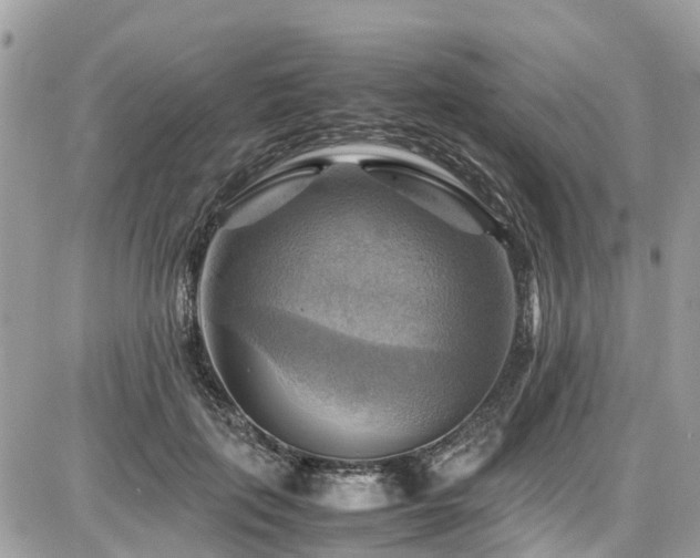 X0000086770651200704131143