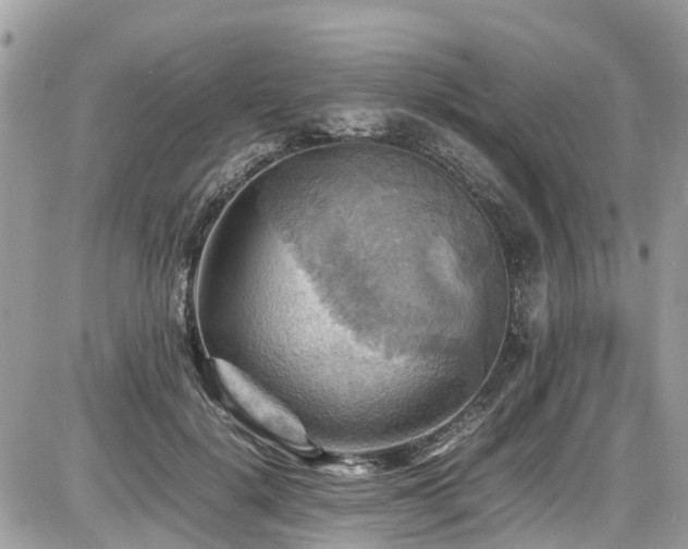 X0000086770652200704131143
