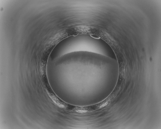 X0000086770658200704131143