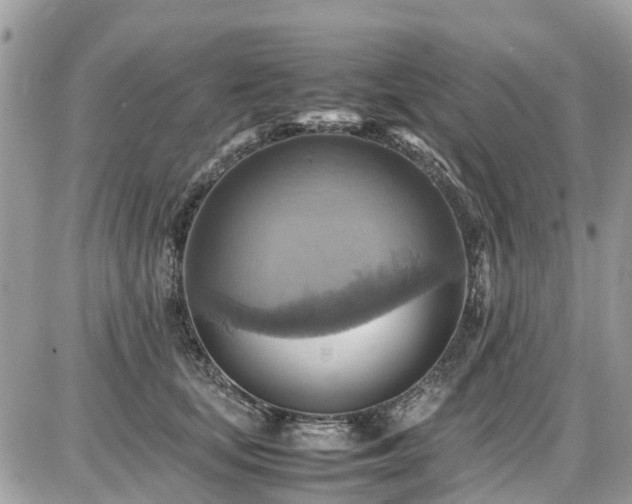 X0000086770659200704131143