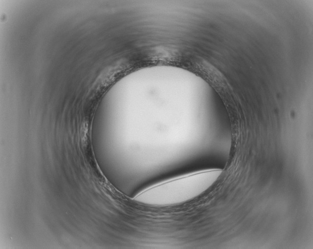 X0000086770660200704131143