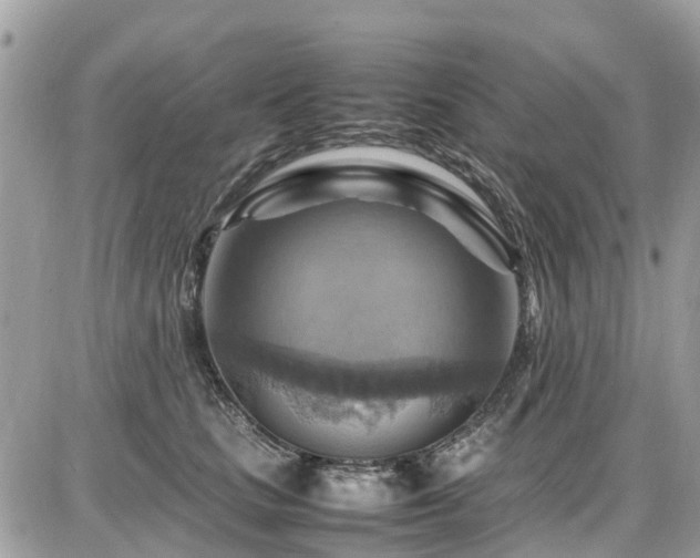 X0000086770661200704131143