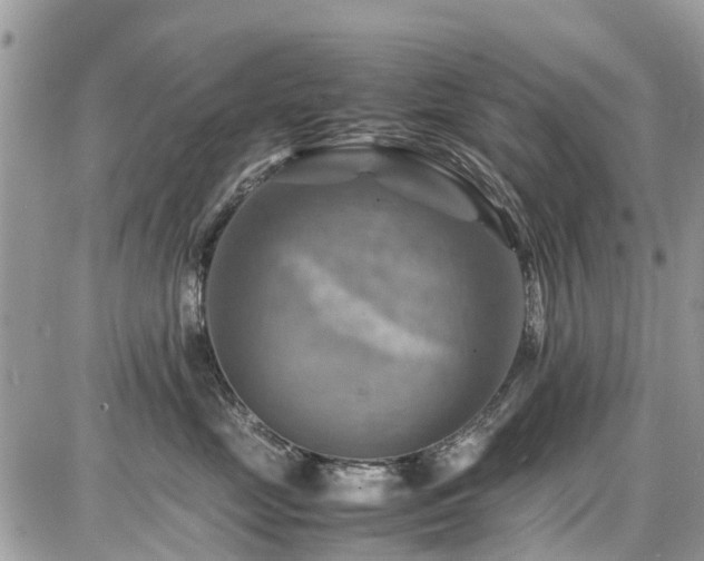 X0000086770669200704131143
