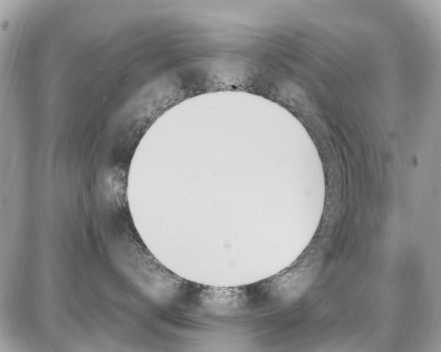 X0000086770672200704131143