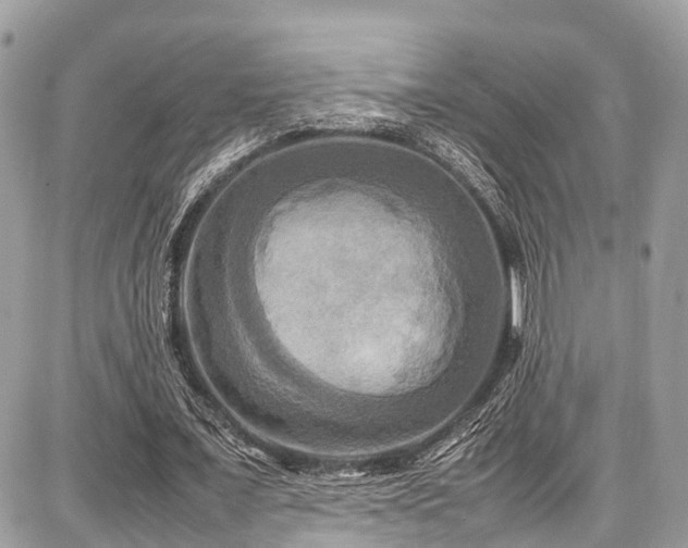 X0000086770675200704131142