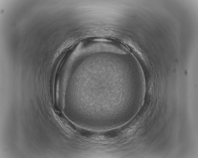X0000086770685200704131142