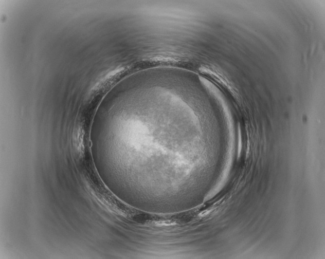 X0000086770692200704131142