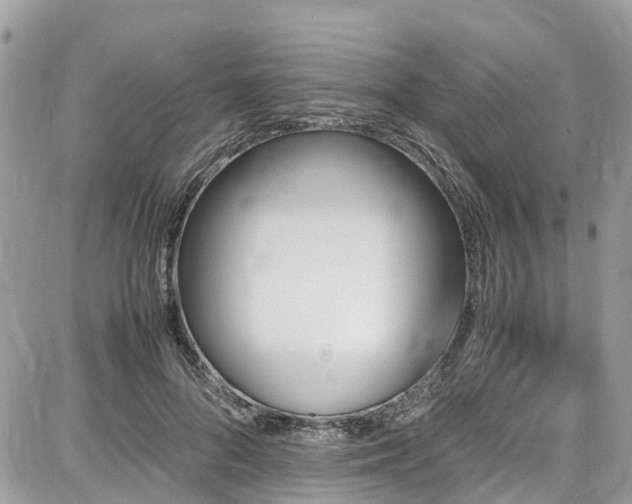 X0000086770696200704131142